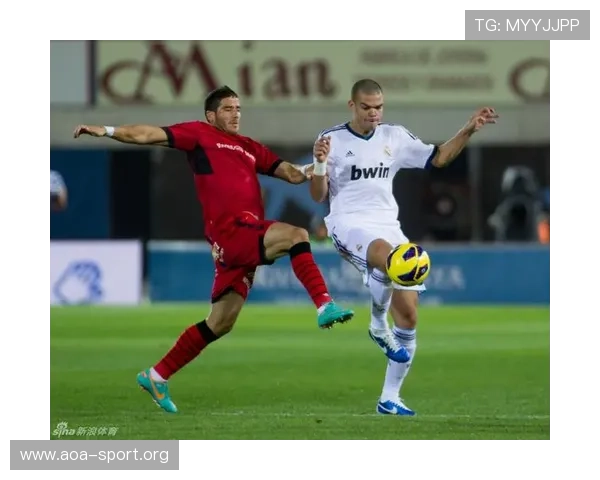 Bwin体育全新赛事攻略与实用投注技巧全面解析